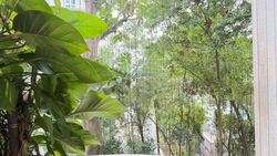 Holland Peak (D10), Condominium #619914041